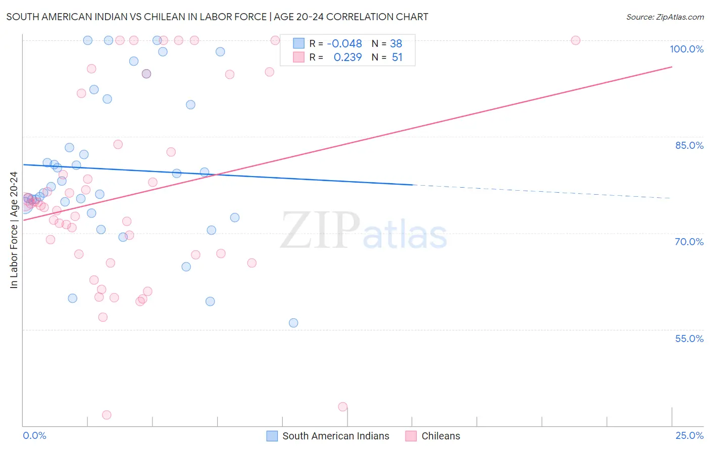 South American Indian vs Chilean In Labor Force | Age 20-24