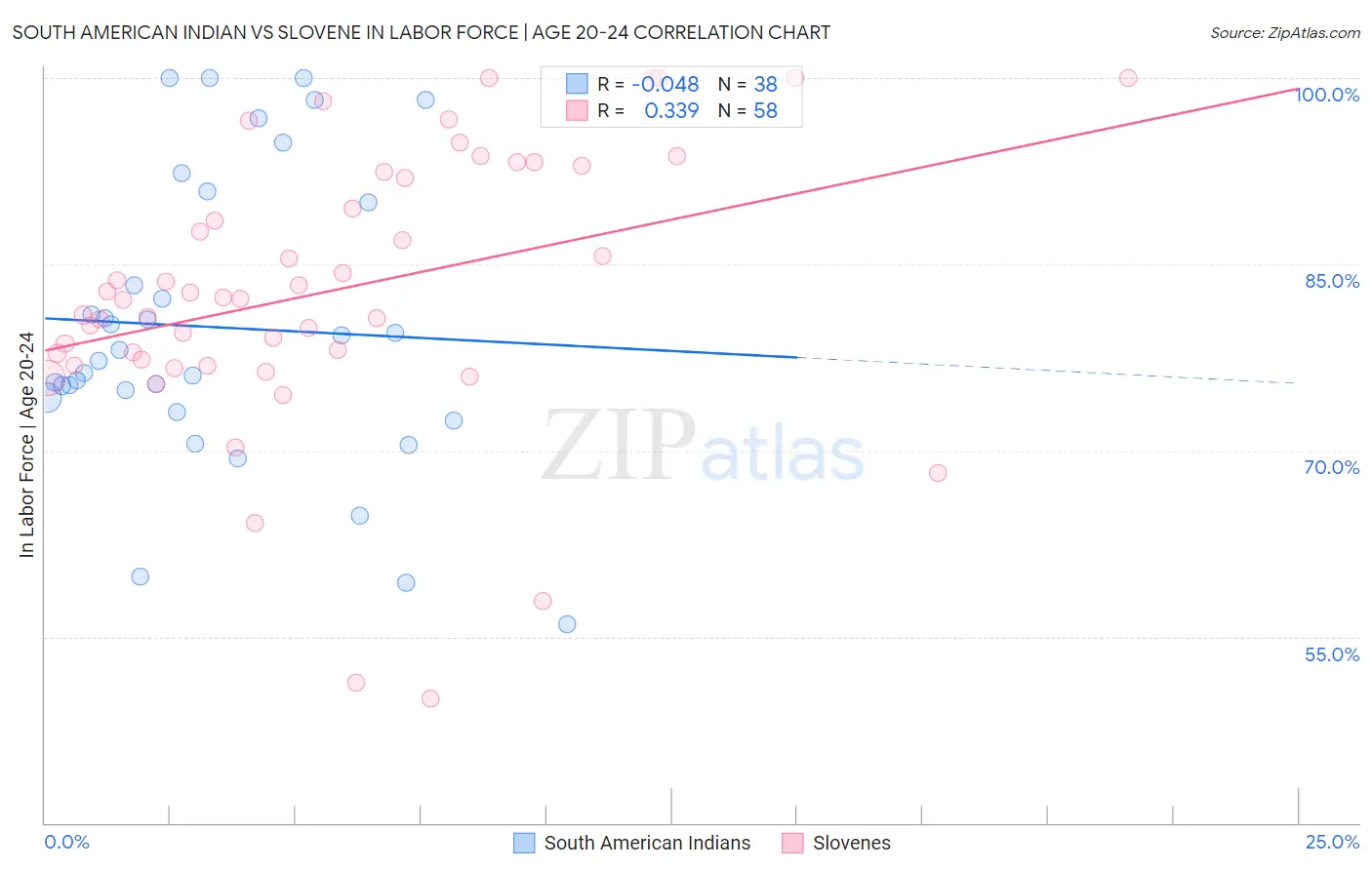 South American Indian vs Slovene In Labor Force | Age 20-24