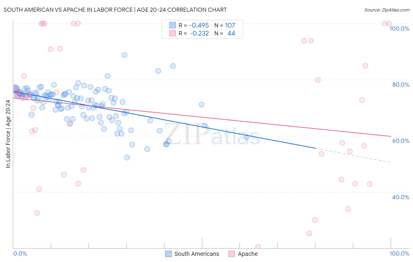 South American vs Apache In Labor Force | Age 20-24