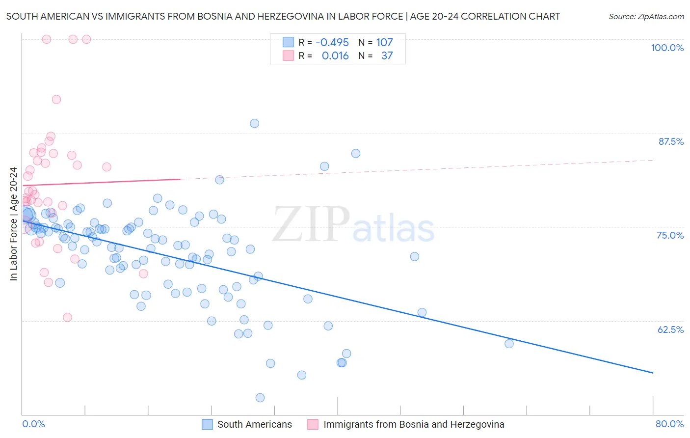 South American vs Immigrants from Bosnia and Herzegovina In Labor Force | Age 20-24