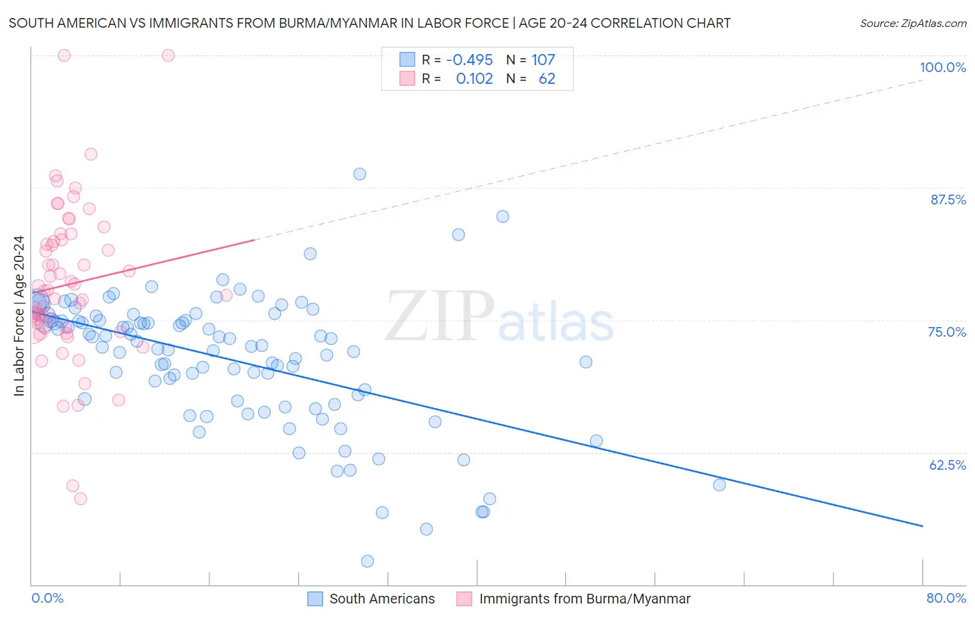 South American vs Immigrants from Burma/Myanmar In Labor Force | Age 20-24