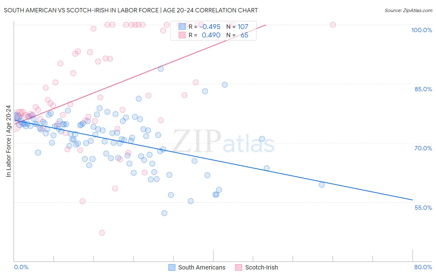 South American vs Scotch-Irish In Labor Force | Age 20-24