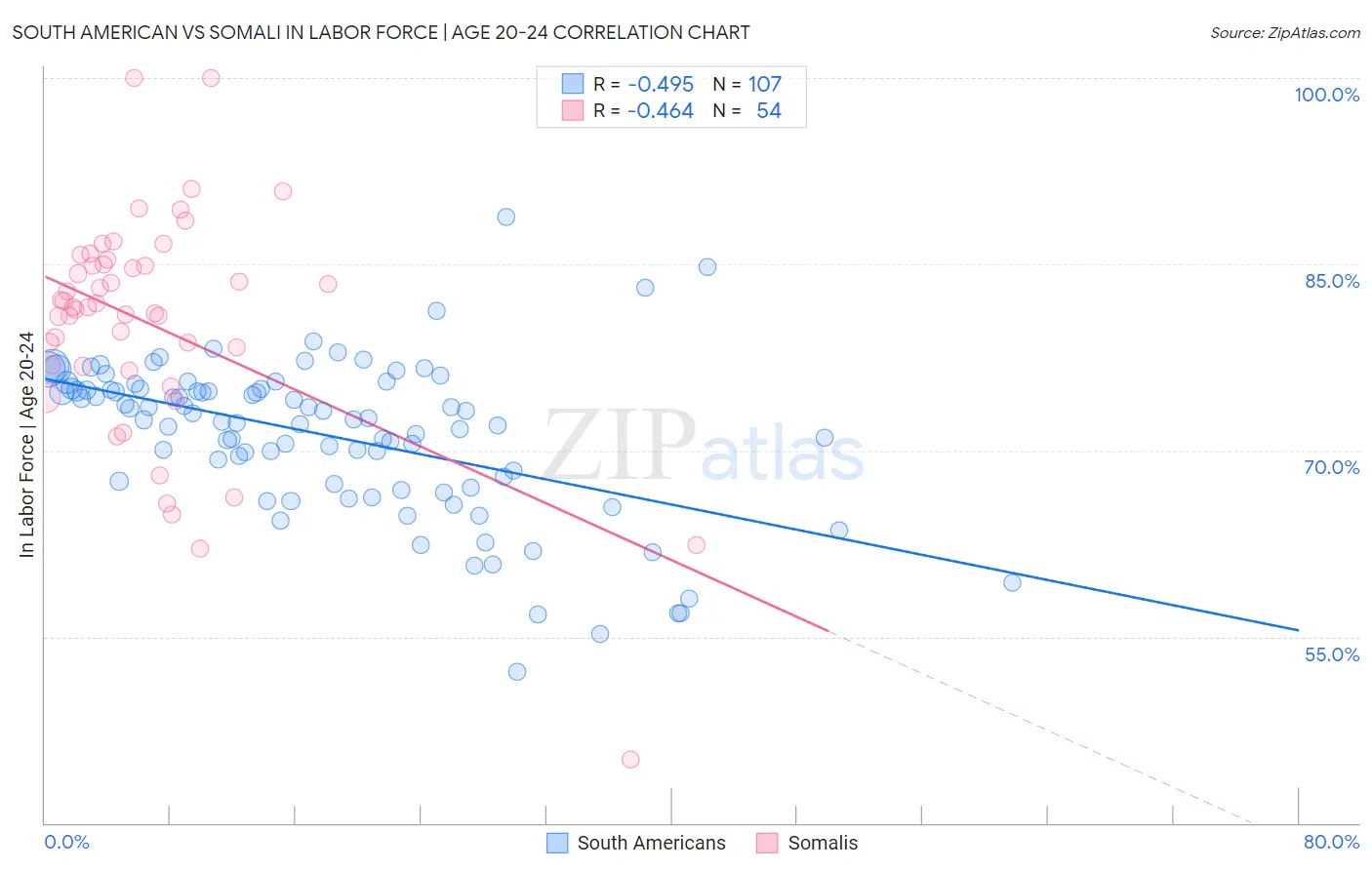 South American vs Somali In Labor Force | Age 20-24