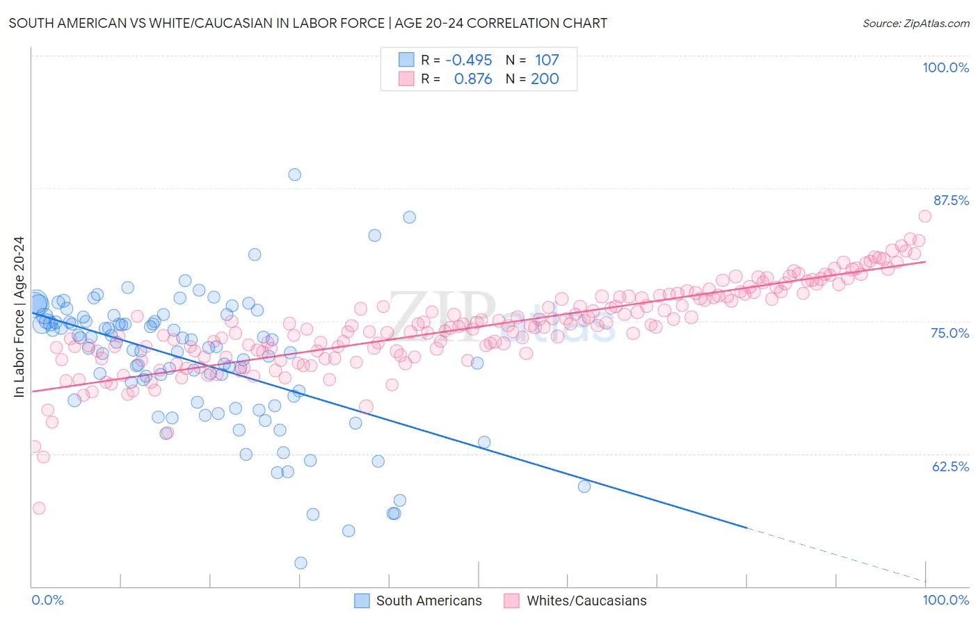 South American vs White/Caucasian In Labor Force | Age 20-24