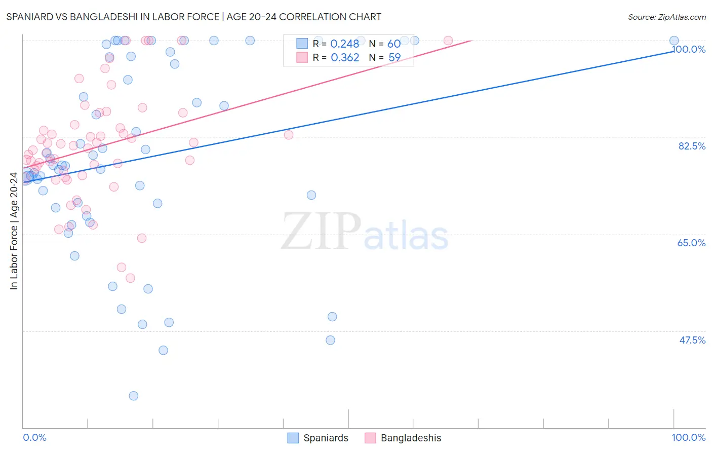 Spaniard vs Bangladeshi In Labor Force | Age 20-24