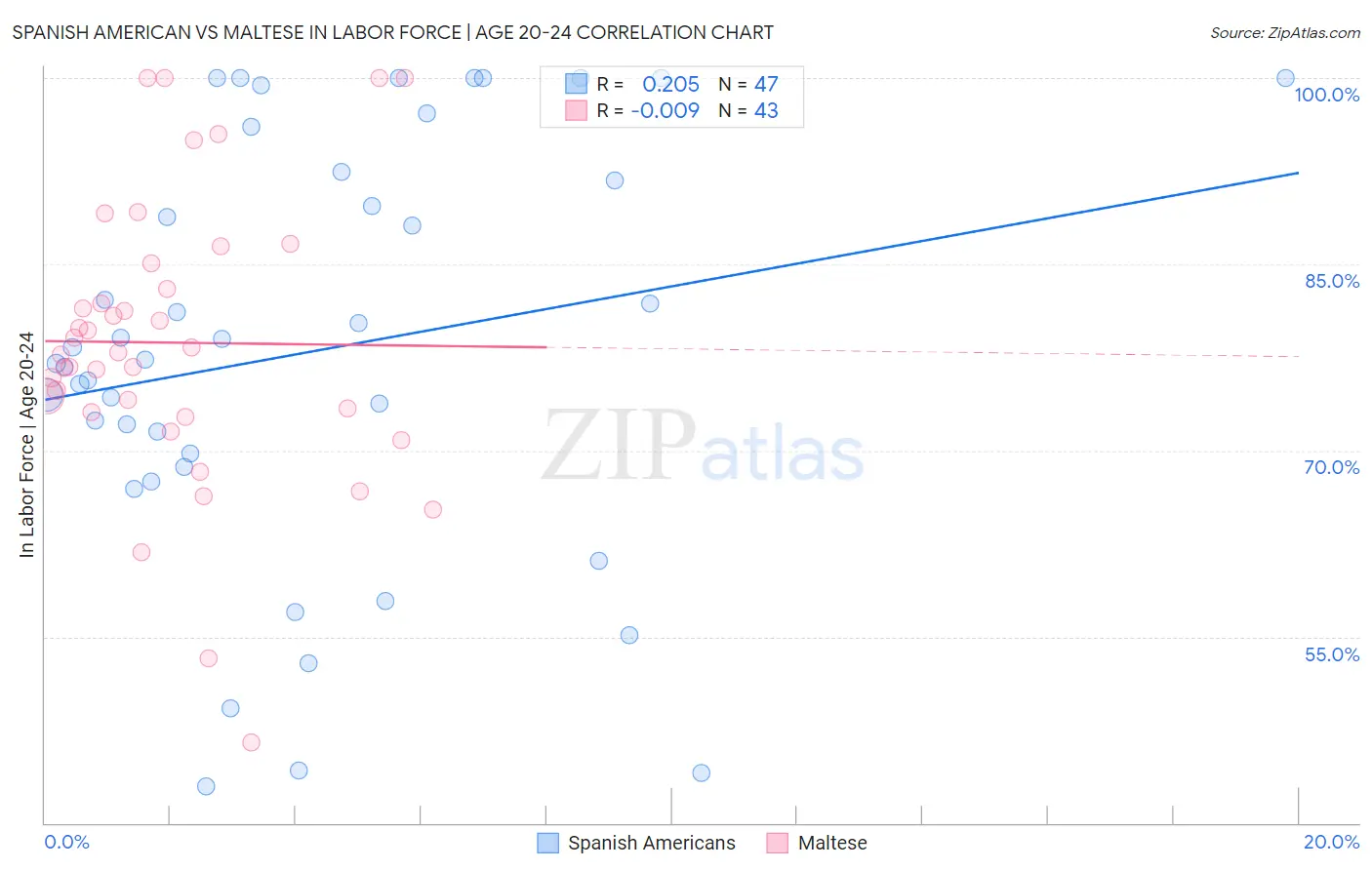 Spanish American vs Maltese In Labor Force | Age 20-24