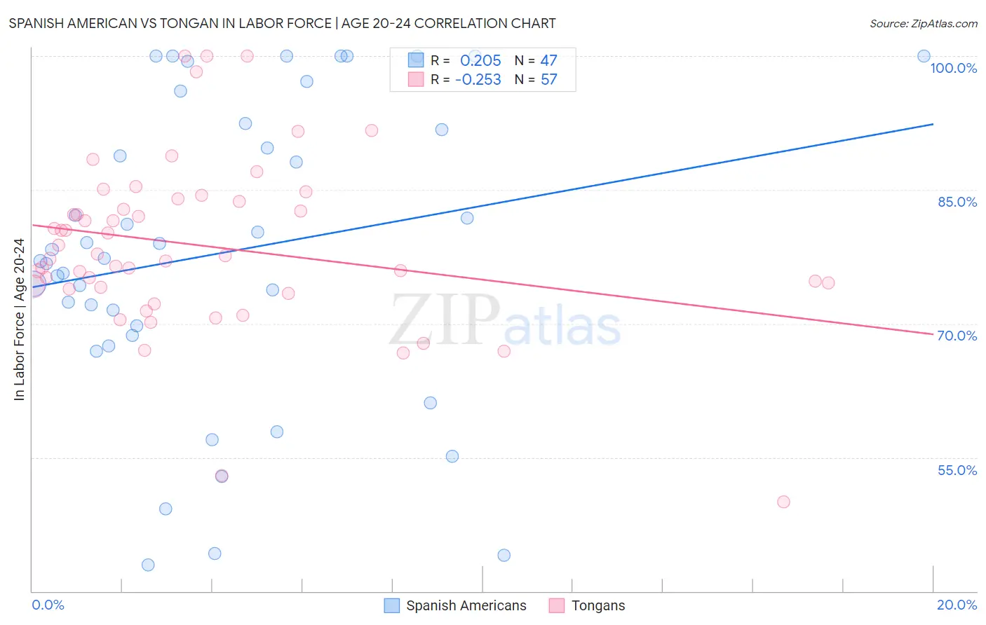 Spanish American vs Tongan In Labor Force | Age 20-24