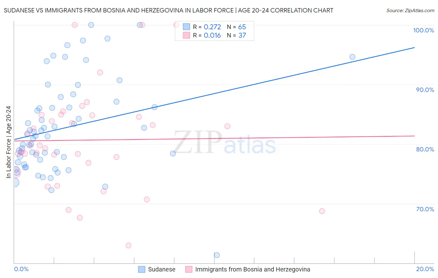 Sudanese vs Immigrants from Bosnia and Herzegovina In Labor Force | Age 20-24