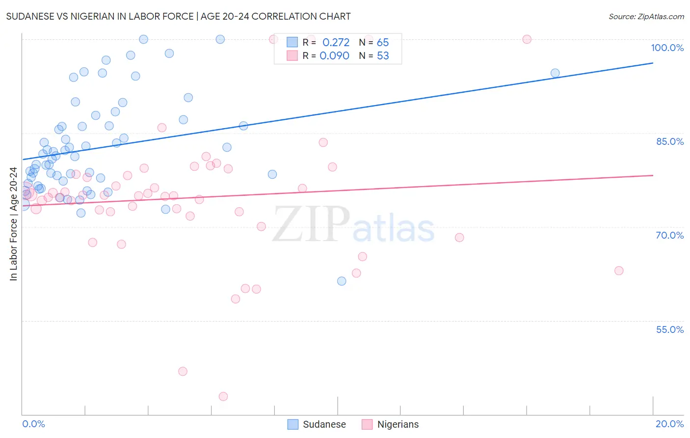 Sudanese vs Nigerian In Labor Force | Age 20-24