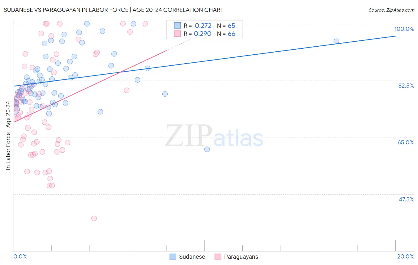 Sudanese vs Paraguayan In Labor Force | Age 20-24