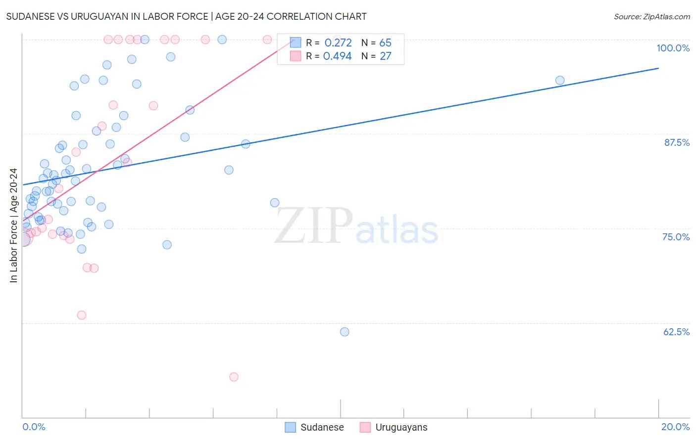 Sudanese vs Uruguayan In Labor Force | Age 20-24