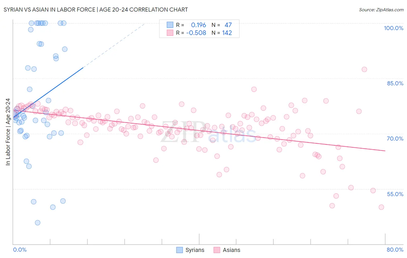 Syrian vs Asian In Labor Force | Age 20-24