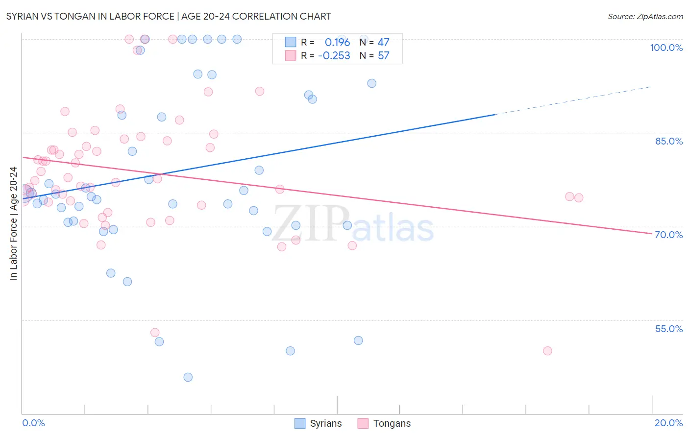 Syrian vs Tongan In Labor Force | Age 20-24