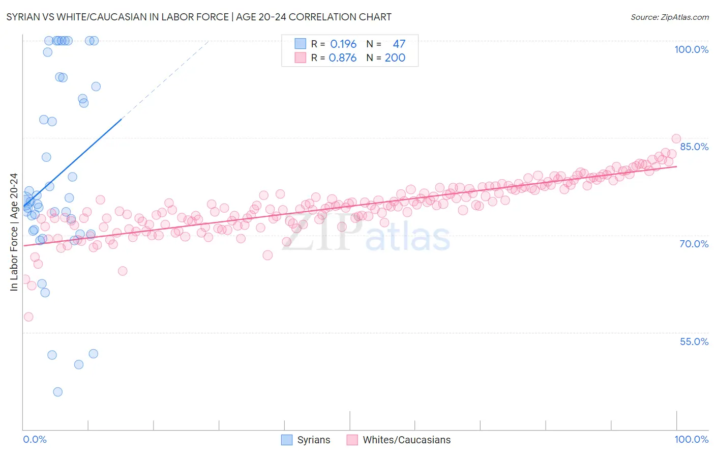 Syrian vs White/Caucasian In Labor Force | Age 20-24