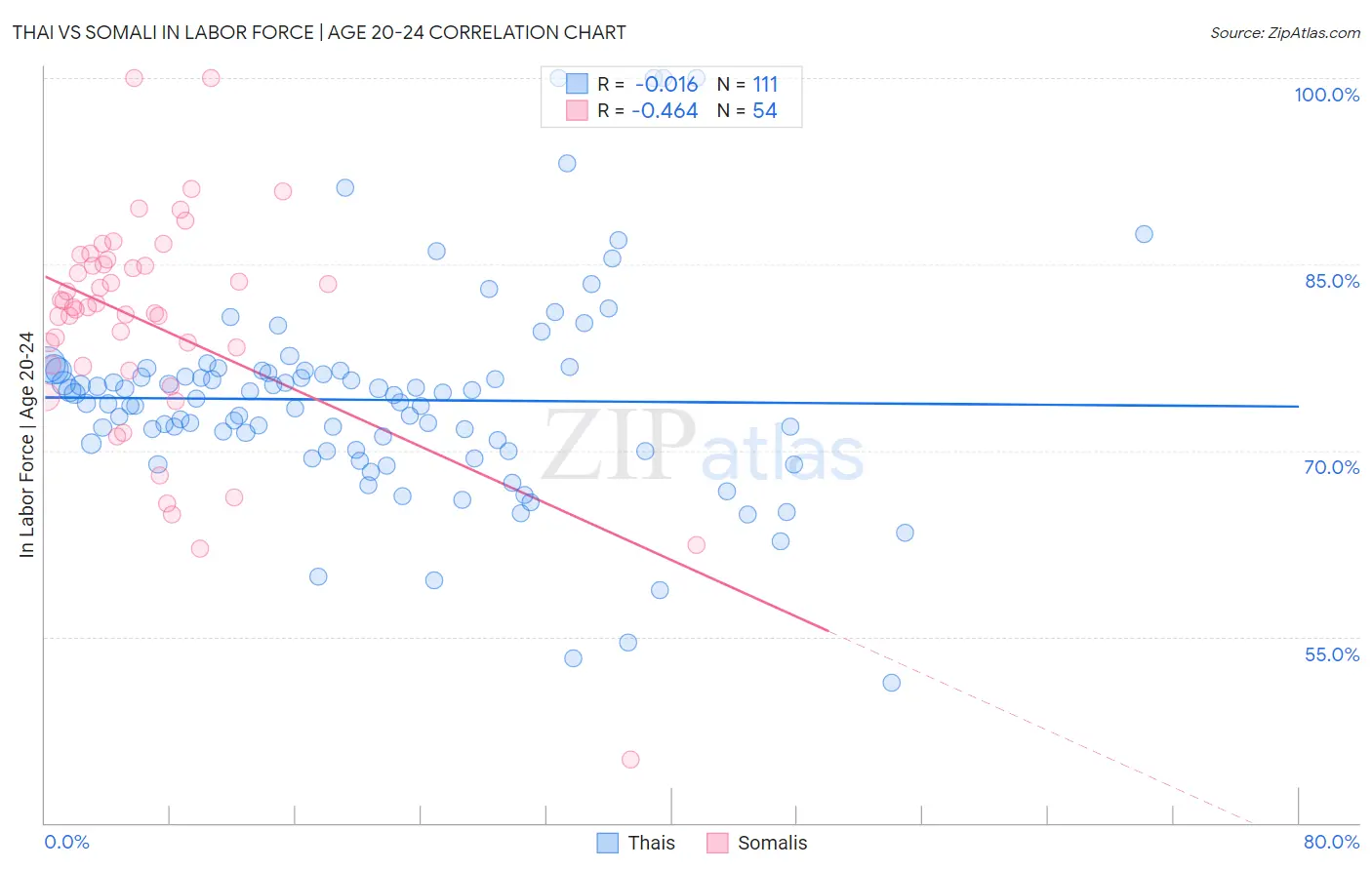 Thai vs Somali In Labor Force | Age 20-24