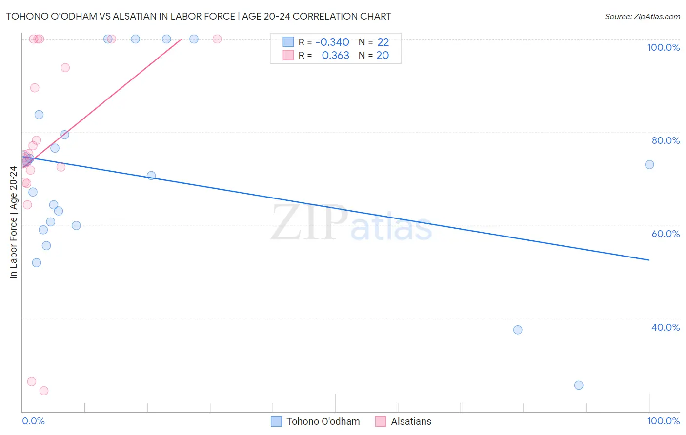 Tohono O'odham vs Alsatian In Labor Force | Age 20-24