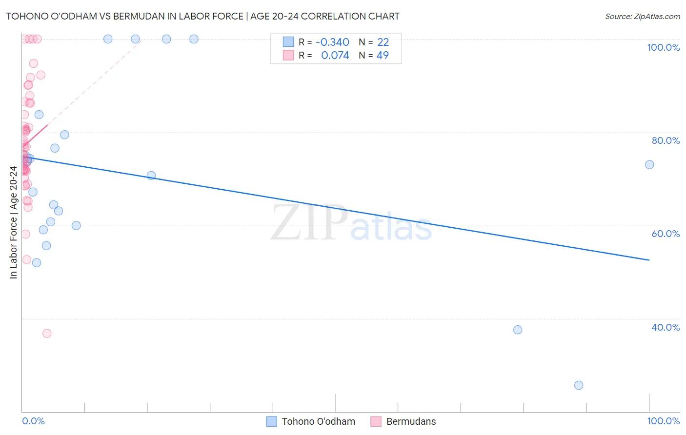 Tohono O'odham vs Bermudan In Labor Force | Age 20-24