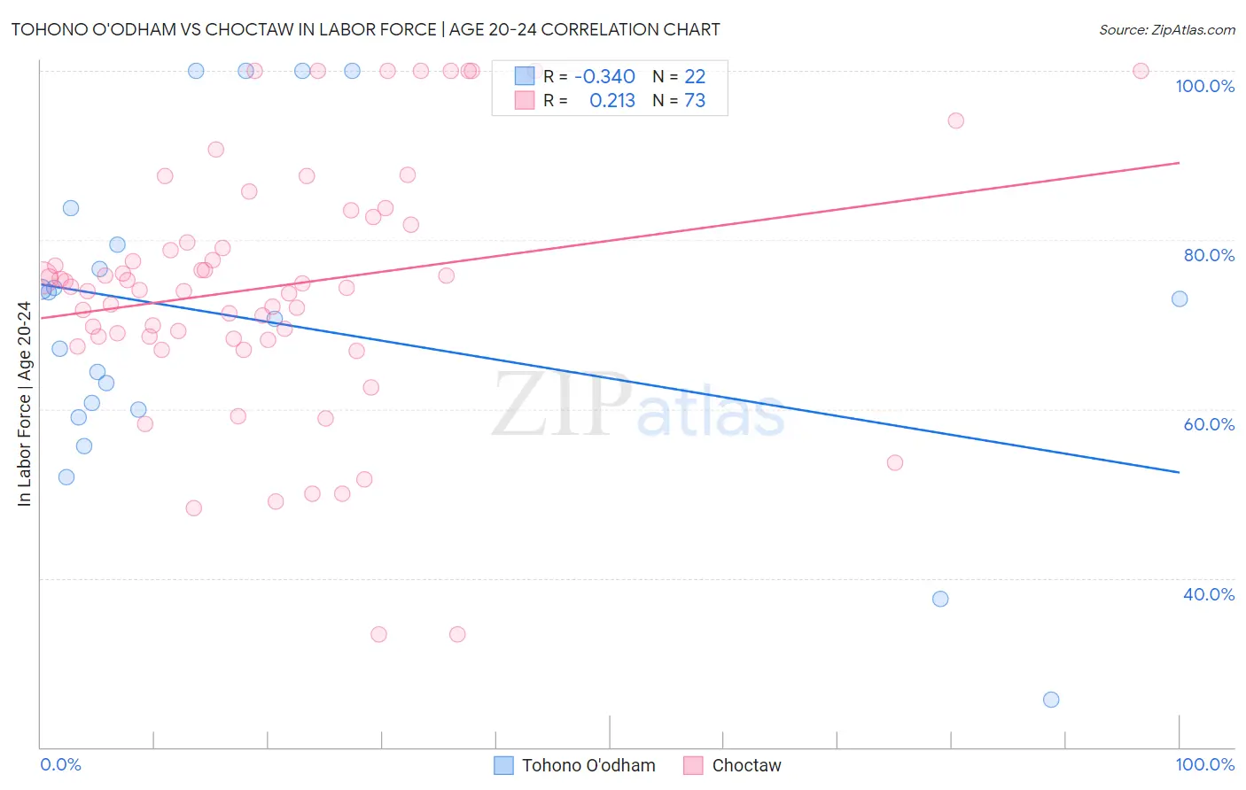 Tohono O'odham vs Choctaw In Labor Force | Age 20-24