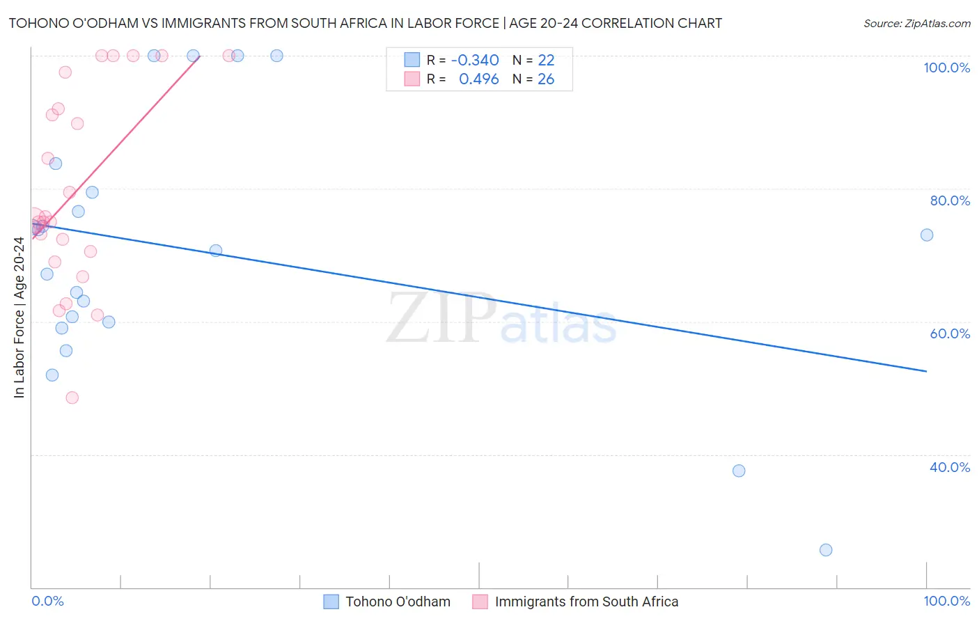 Tohono O'odham vs Immigrants from South Africa In Labor Force | Age 20-24