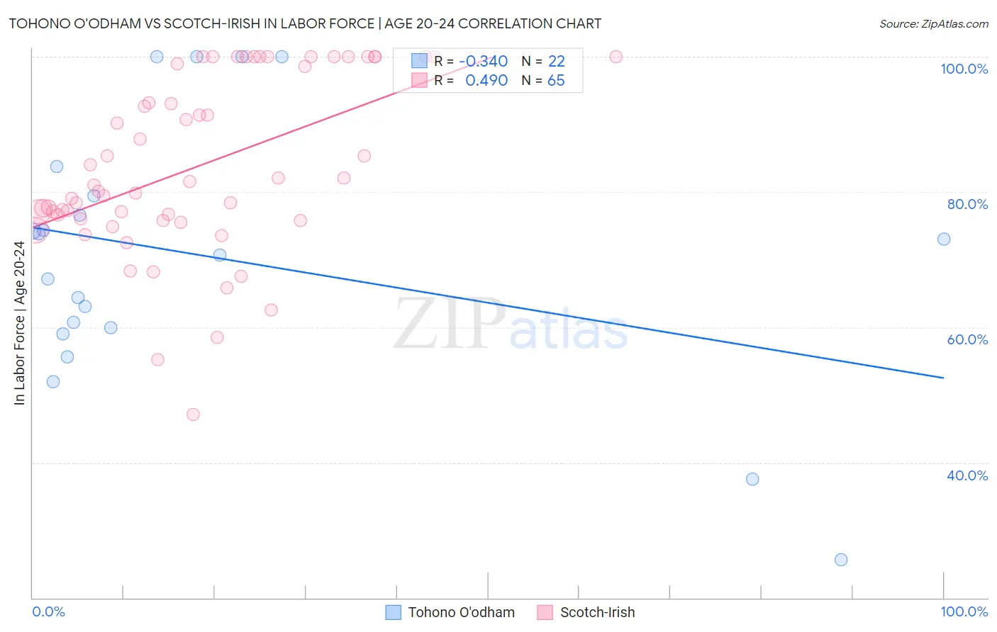 Tohono O'odham vs Scotch-Irish In Labor Force | Age 20-24