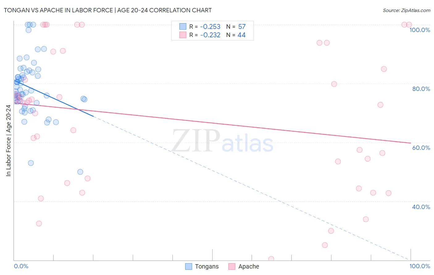 Tongan vs Apache In Labor Force | Age 20-24