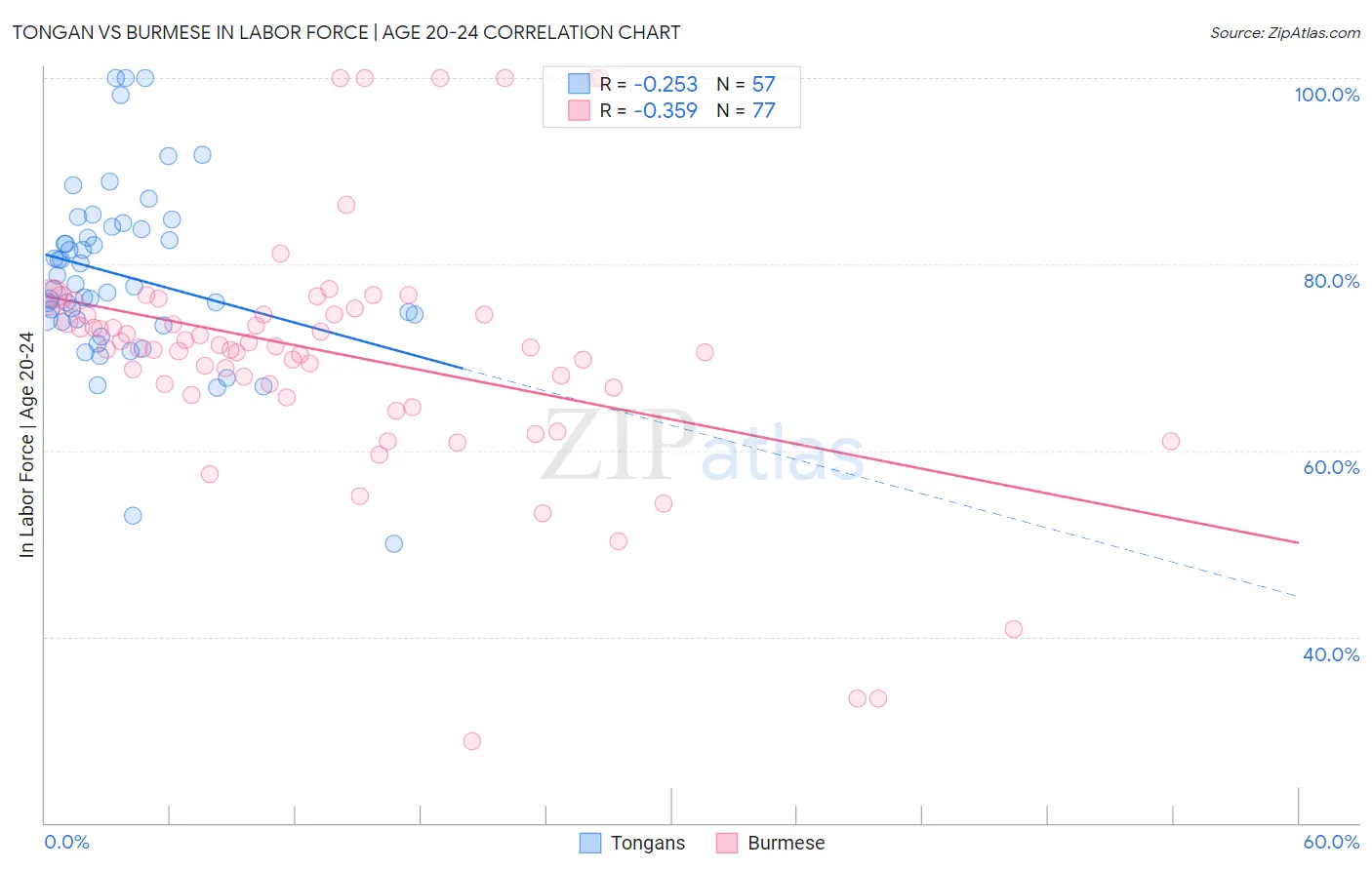 Tongan vs Burmese In Labor Force | Age 20-24