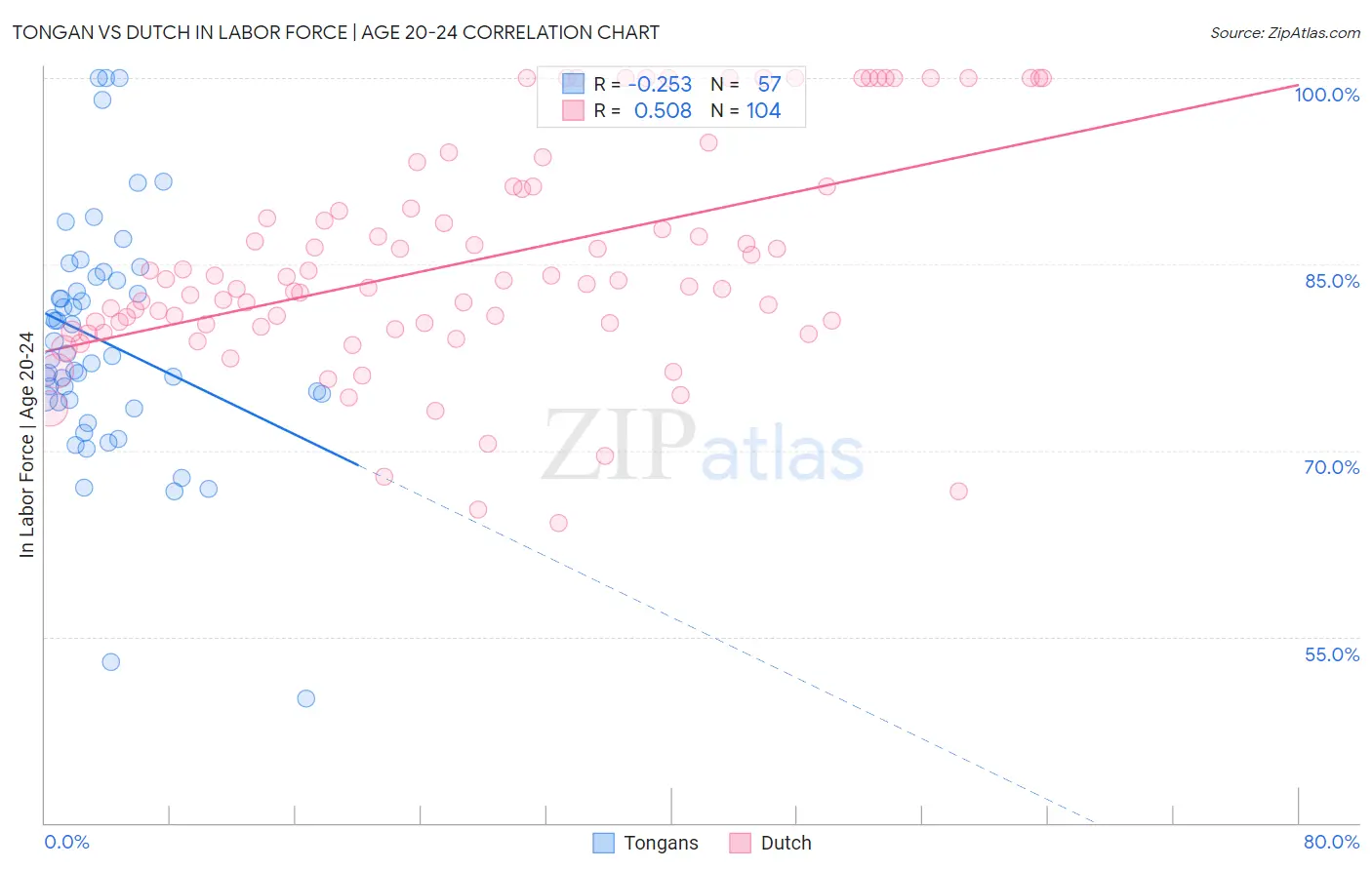 Tongan vs Dutch In Labor Force | Age 20-24