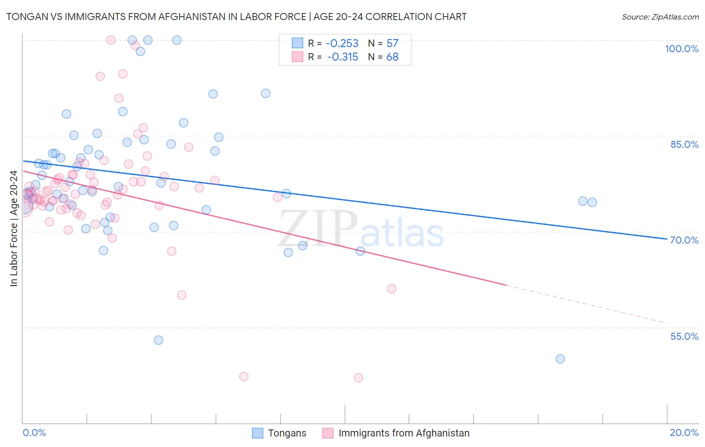 Tongan vs Immigrants from Afghanistan In Labor Force | Age 20-24