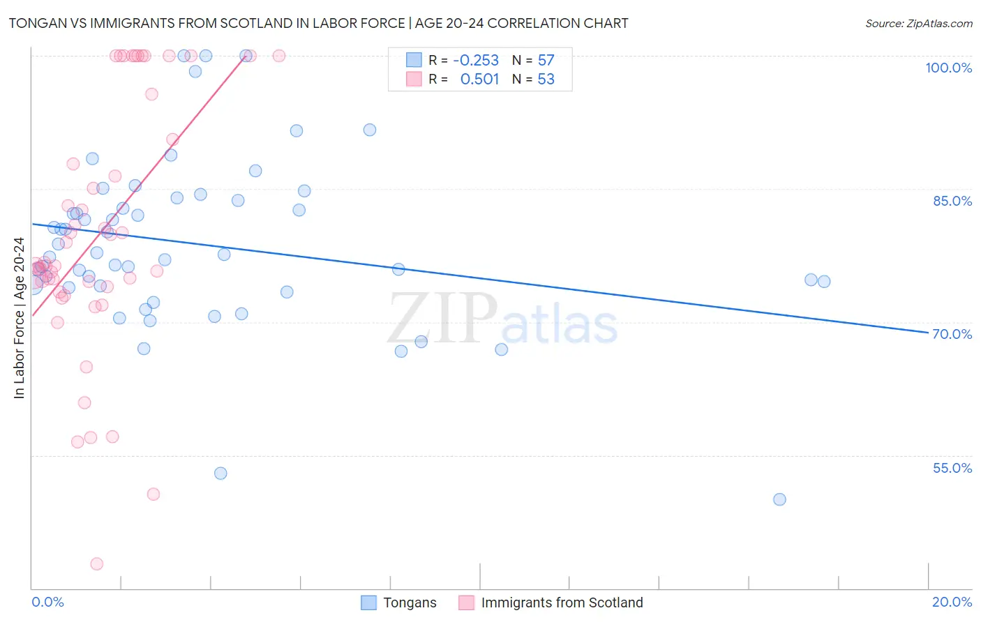 Tongan vs Immigrants from Scotland In Labor Force | Age 20-24