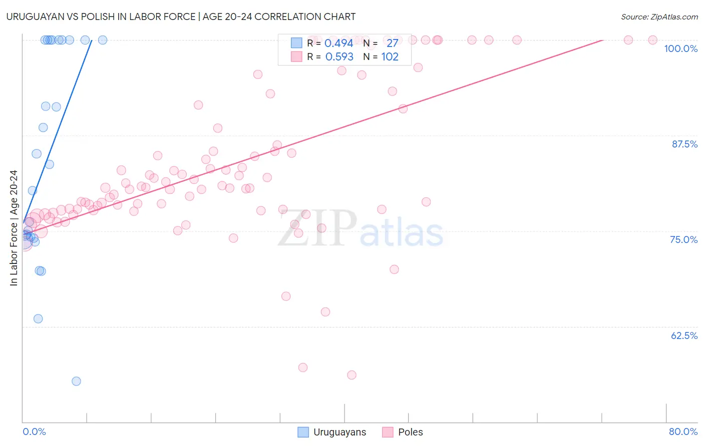 Uruguayan vs Polish In Labor Force | Age 20-24