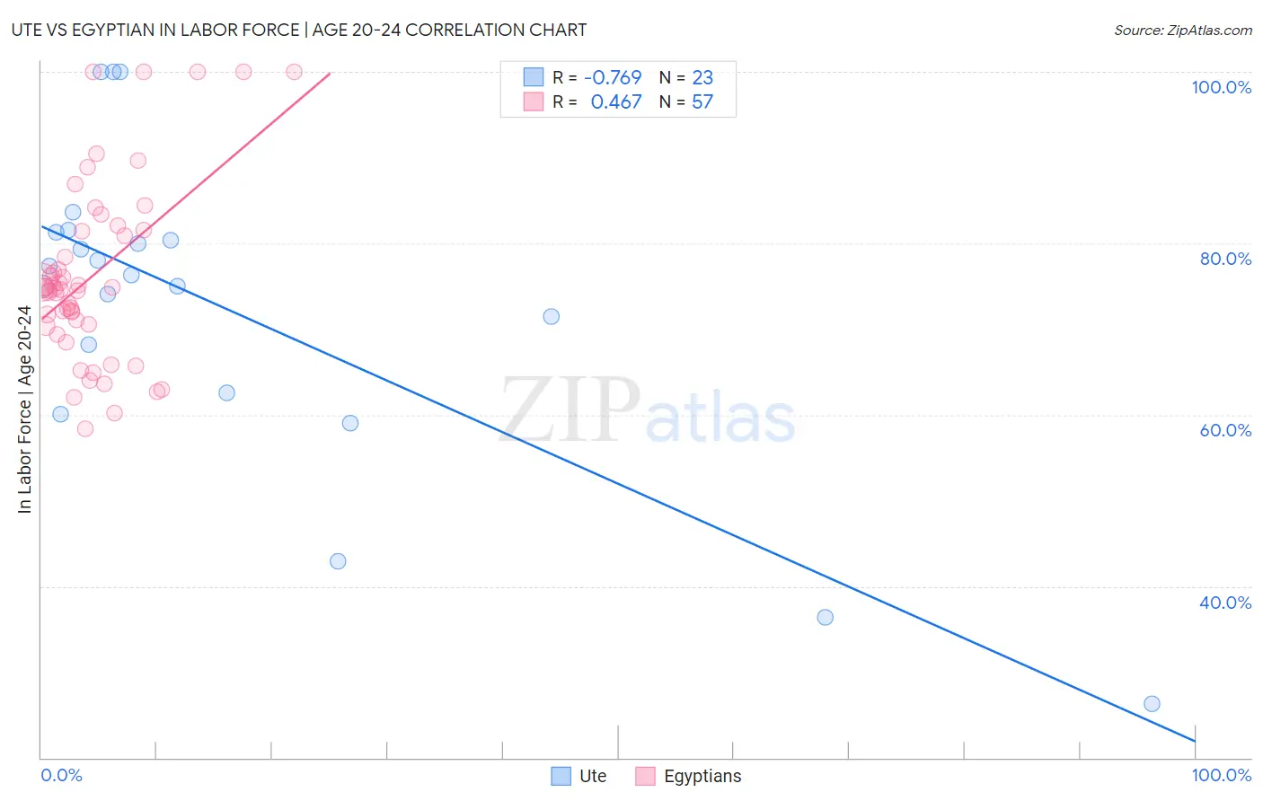 Ute vs Egyptian In Labor Force | Age 20-24