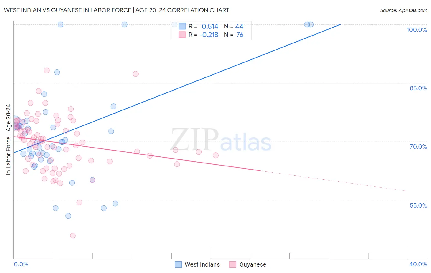 West Indian vs Guyanese In Labor Force | Age 20-24