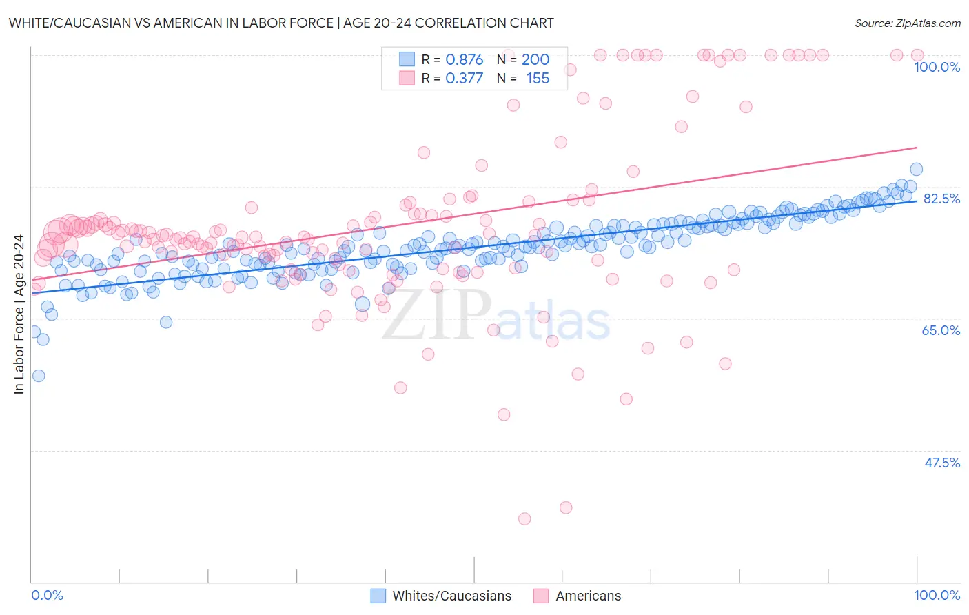 White/Caucasian vs American In Labor Force | Age 20-24