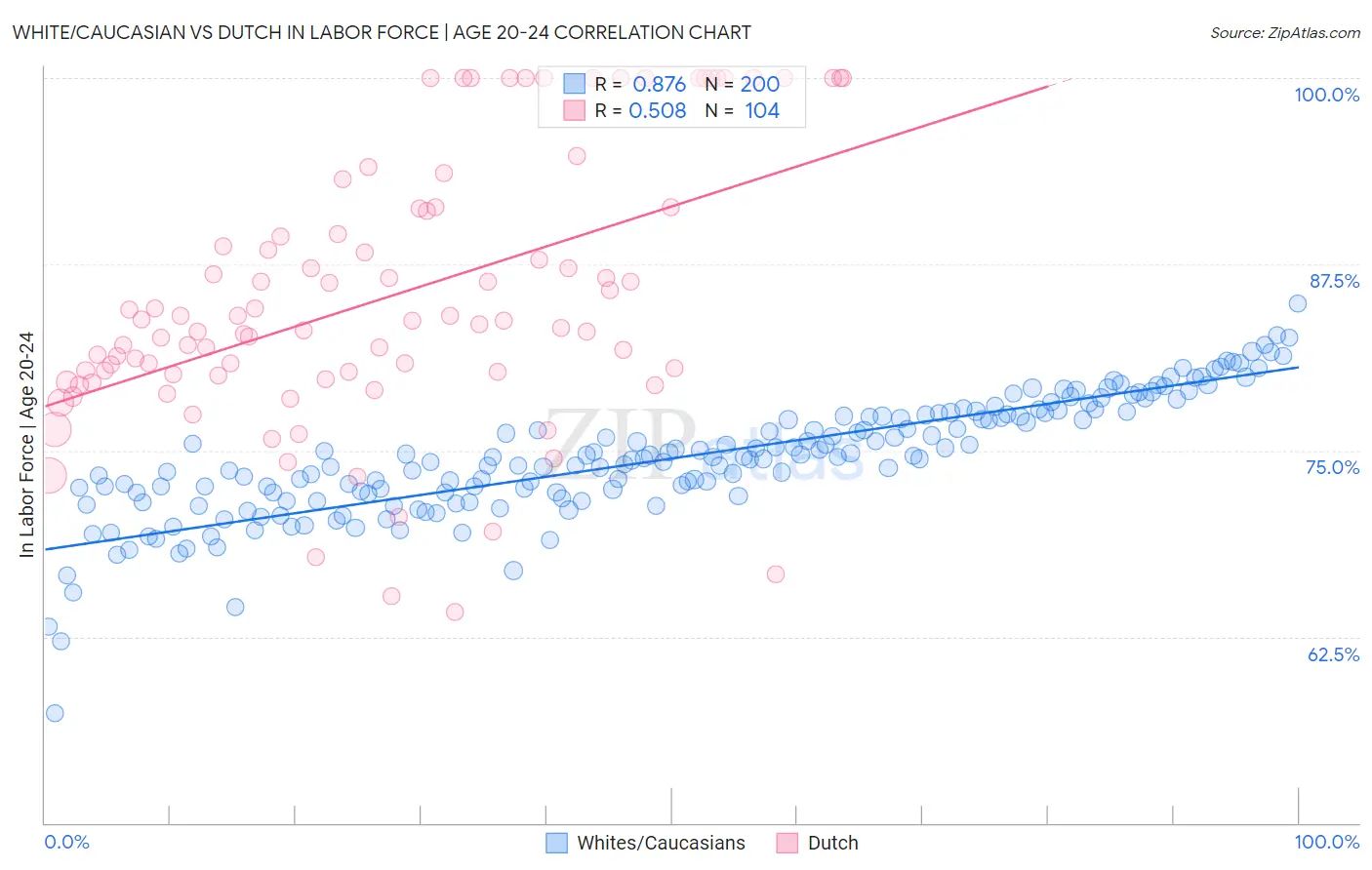 White/Caucasian vs Dutch In Labor Force | Age 20-24