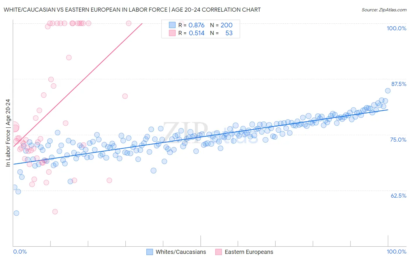 White/Caucasian vs Eastern European In Labor Force | Age 20-24