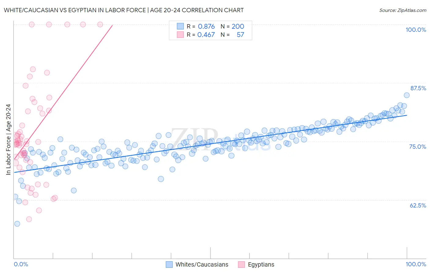 White/Caucasian vs Egyptian In Labor Force | Age 20-24