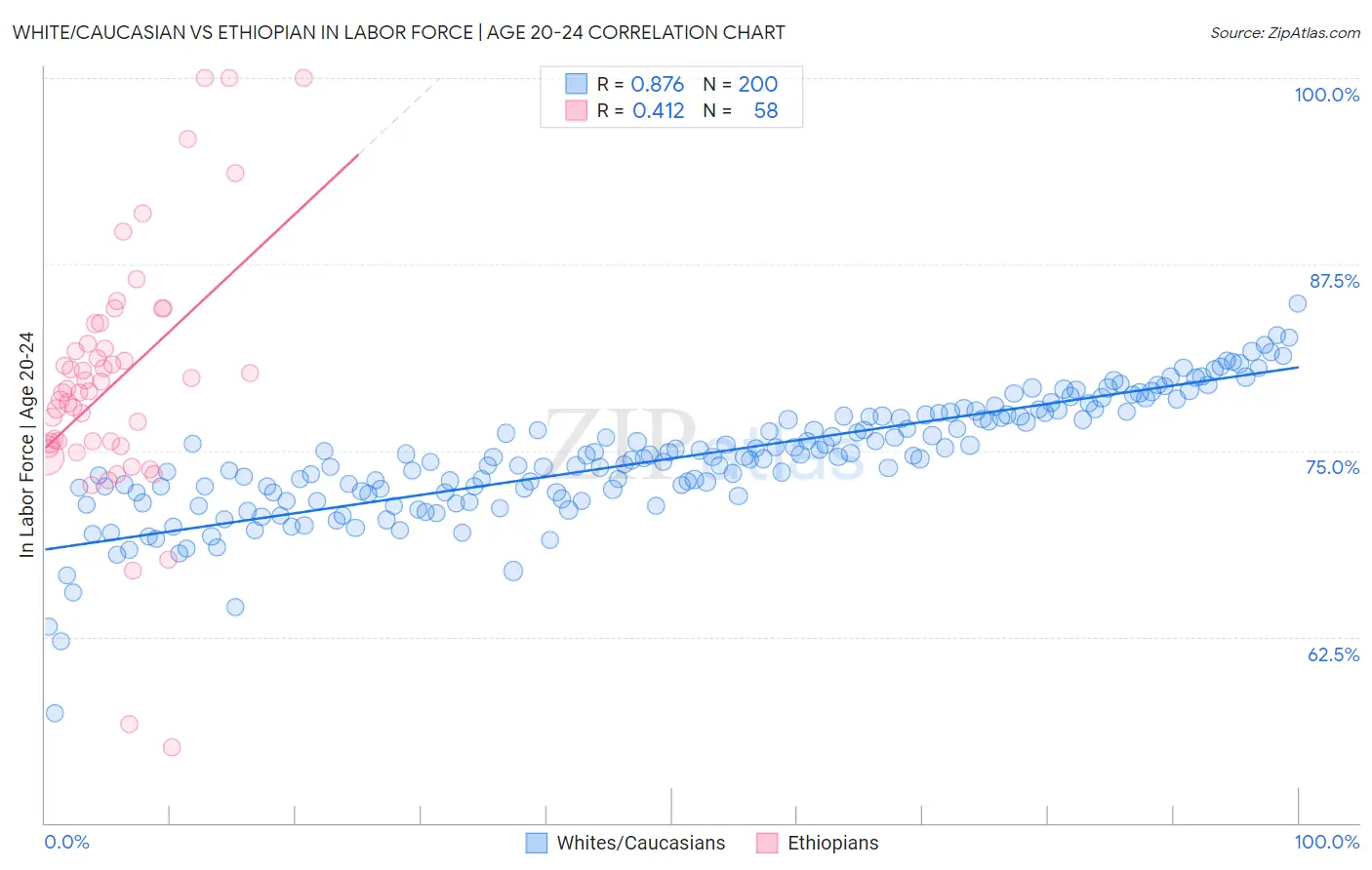 White/Caucasian vs Ethiopian In Labor Force | Age 20-24