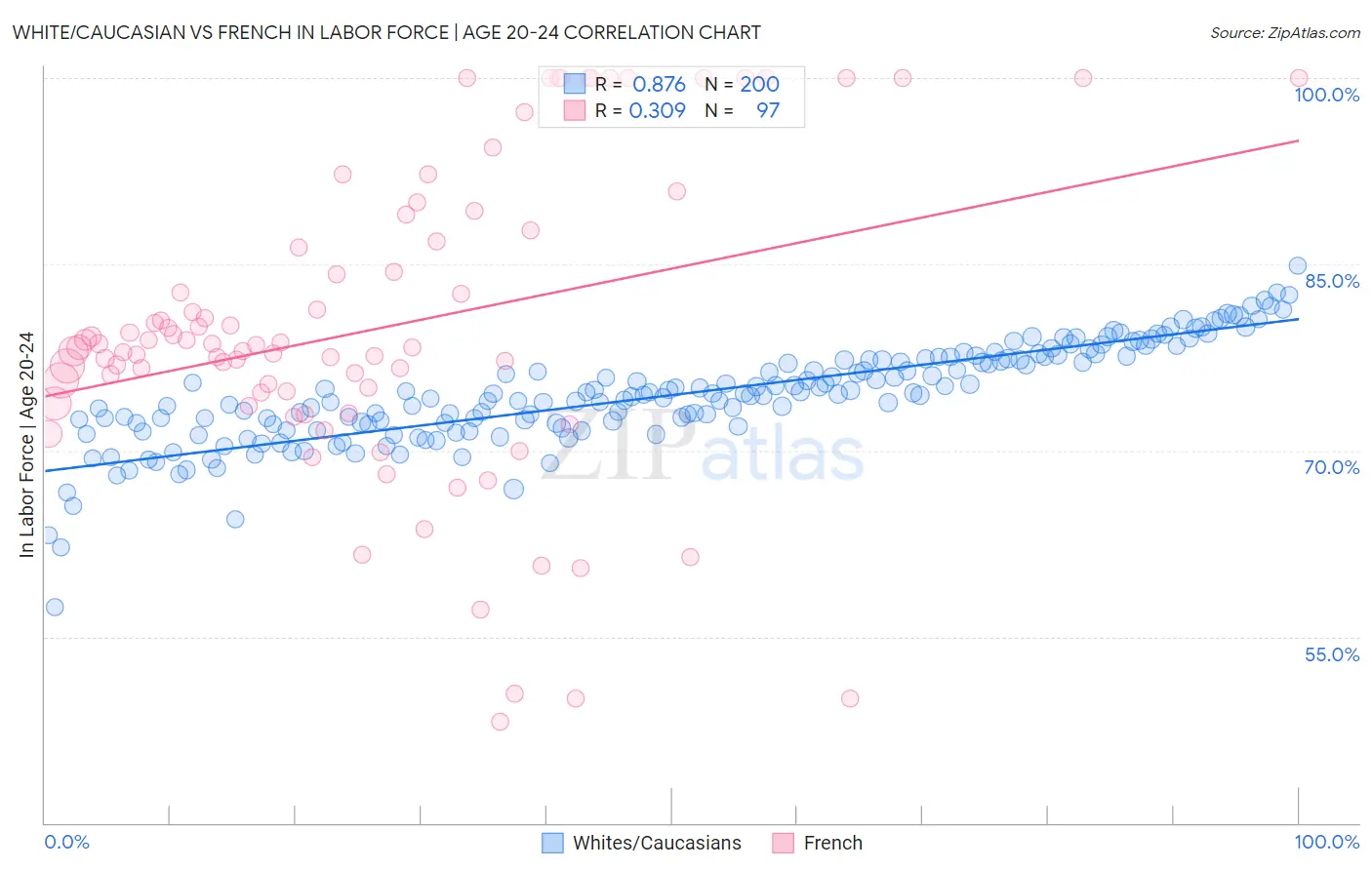 White/Caucasian vs French In Labor Force | Age 20-24