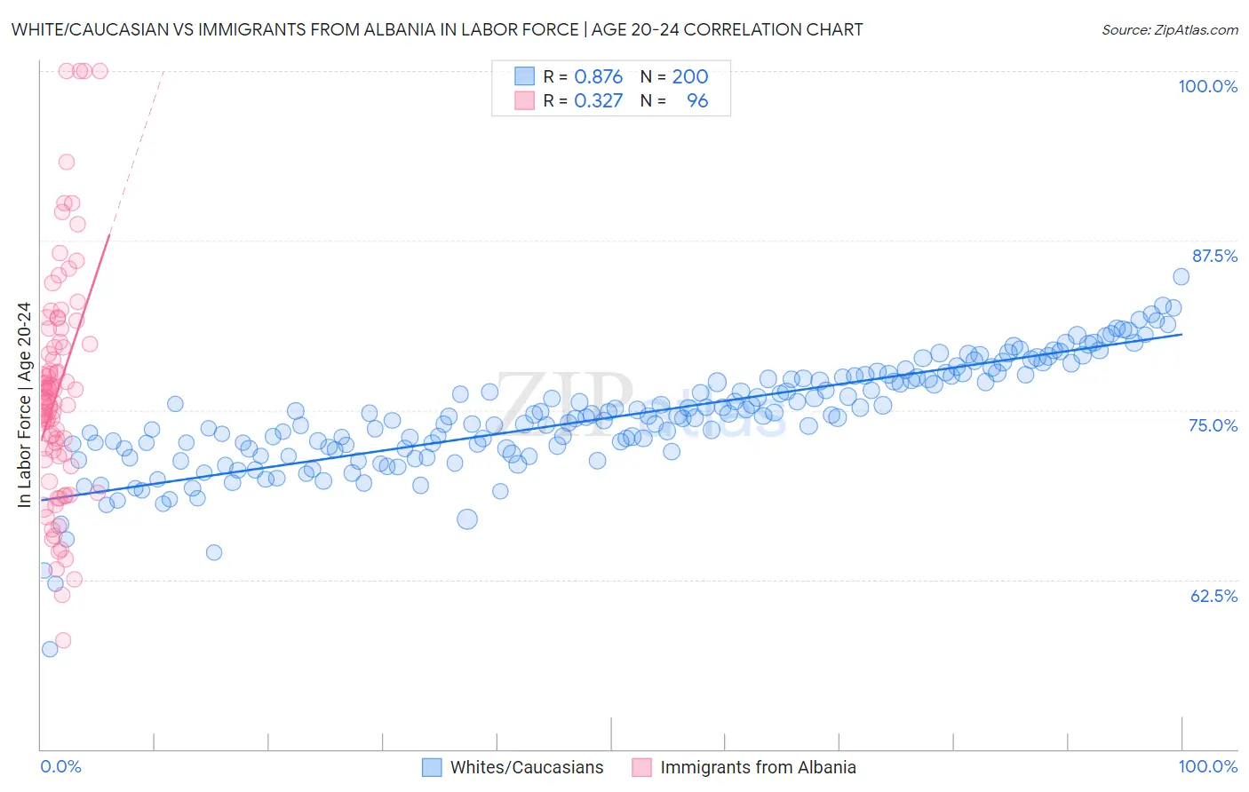 White/Caucasian vs Immigrants from Albania In Labor Force | Age 20-24