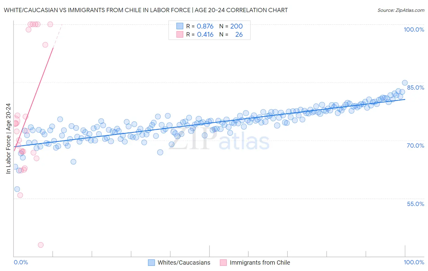 White/Caucasian vs Immigrants from Chile In Labor Force | Age 20-24