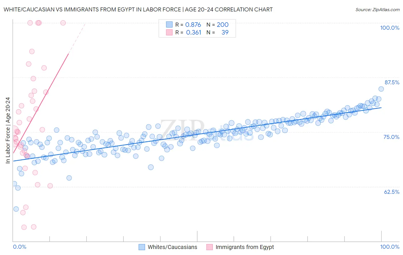 White/Caucasian vs Immigrants from Egypt In Labor Force | Age 20-24