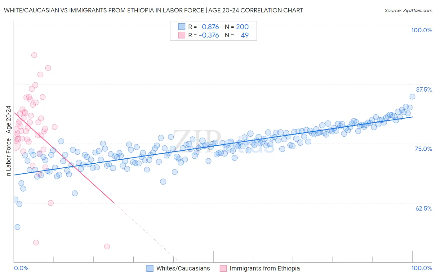 White/Caucasian vs Immigrants from Ethiopia In Labor Force | Age 20-24