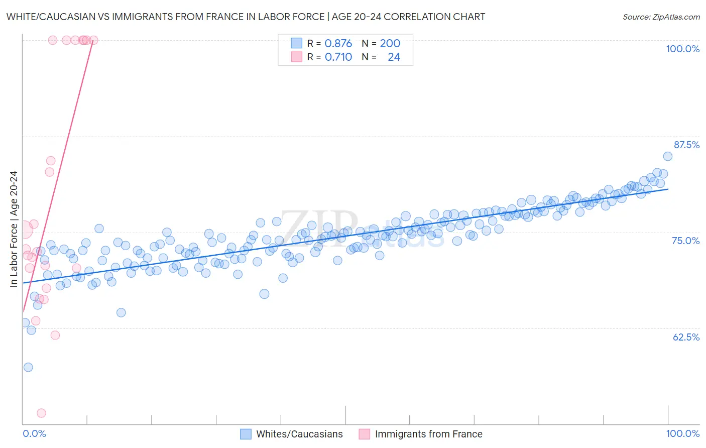 White/Caucasian vs Immigrants from France In Labor Force | Age 20-24