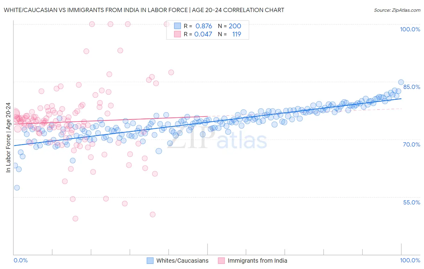 White/Caucasian vs Immigrants from India In Labor Force | Age 20-24