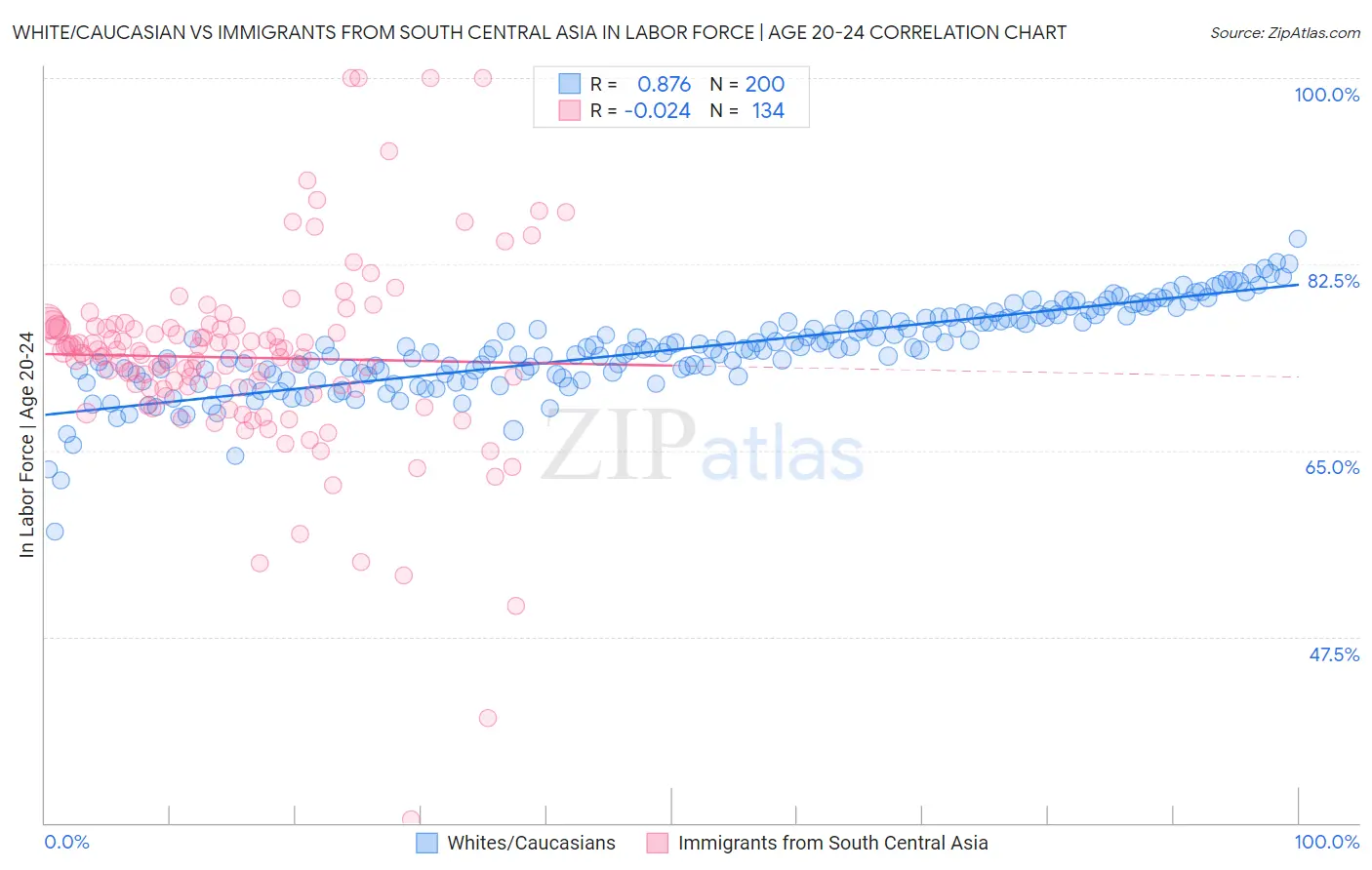 White/Caucasian vs Immigrants from South Central Asia In Labor Force | Age 20-24