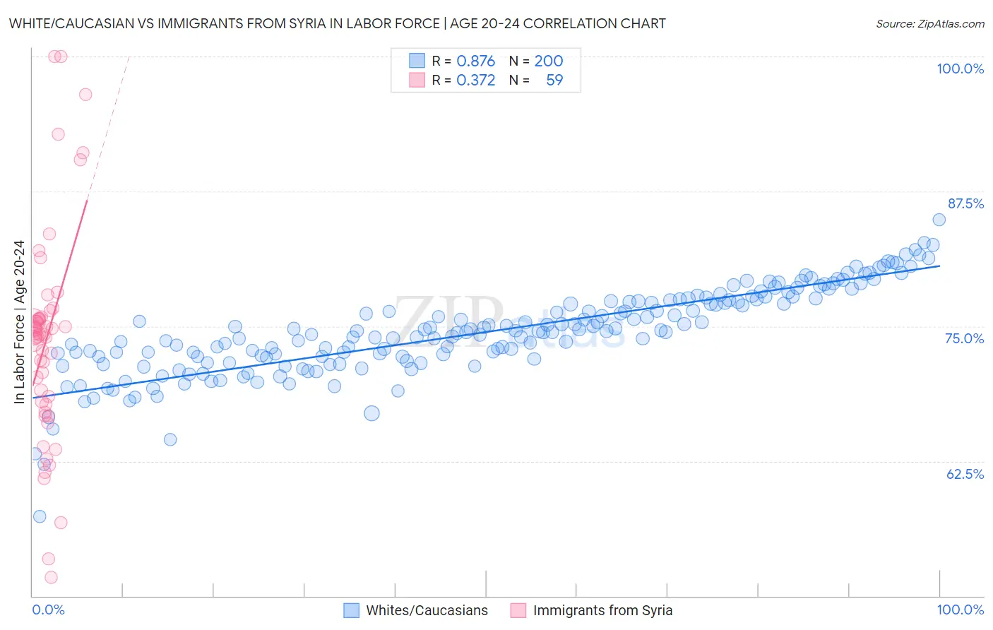 White/Caucasian vs Immigrants from Syria In Labor Force | Age 20-24