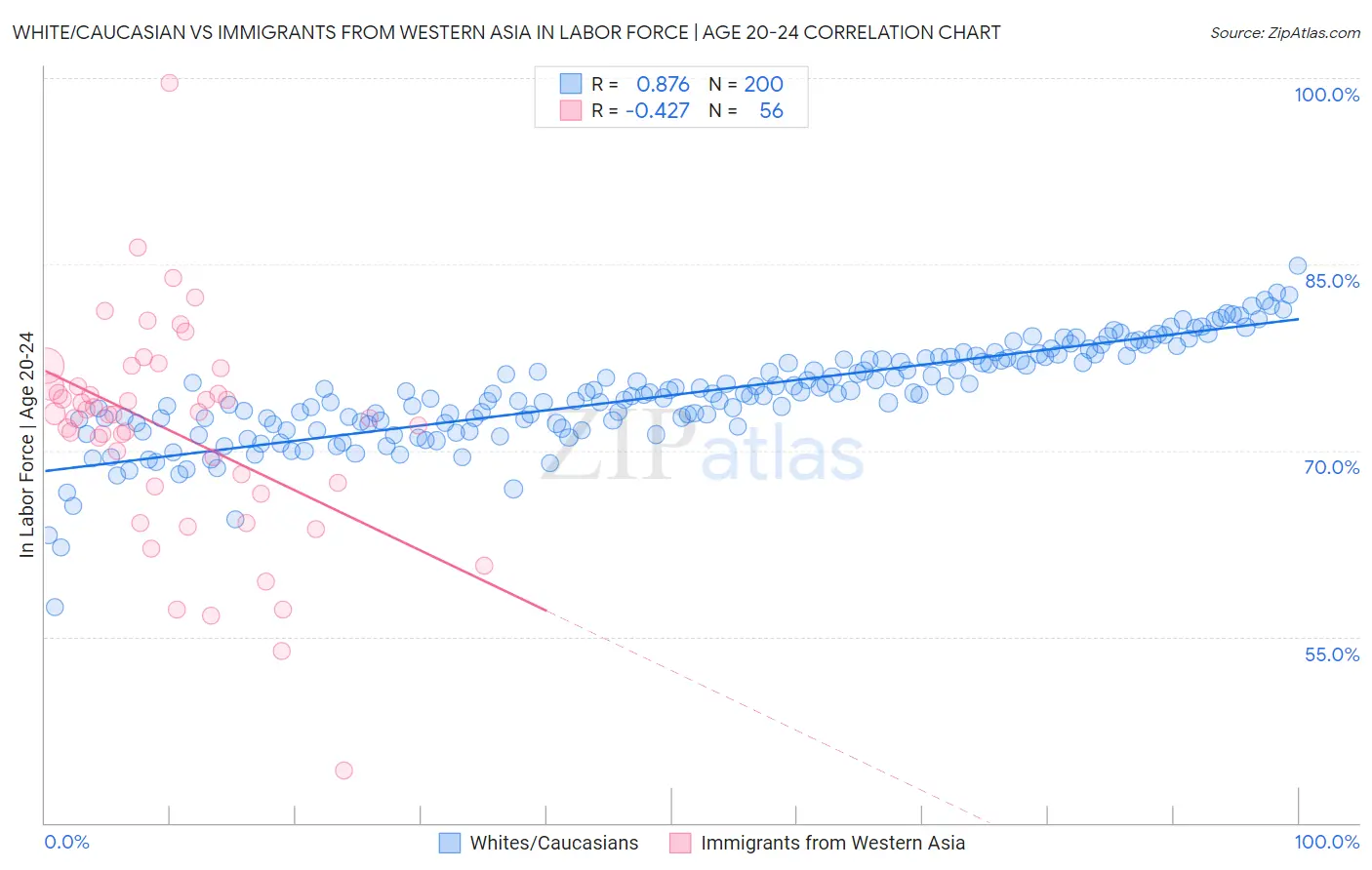 White/Caucasian vs Immigrants from Western Asia In Labor Force | Age 20-24