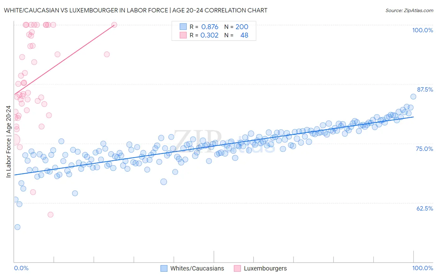 White/Caucasian vs Luxembourger In Labor Force | Age 20-24