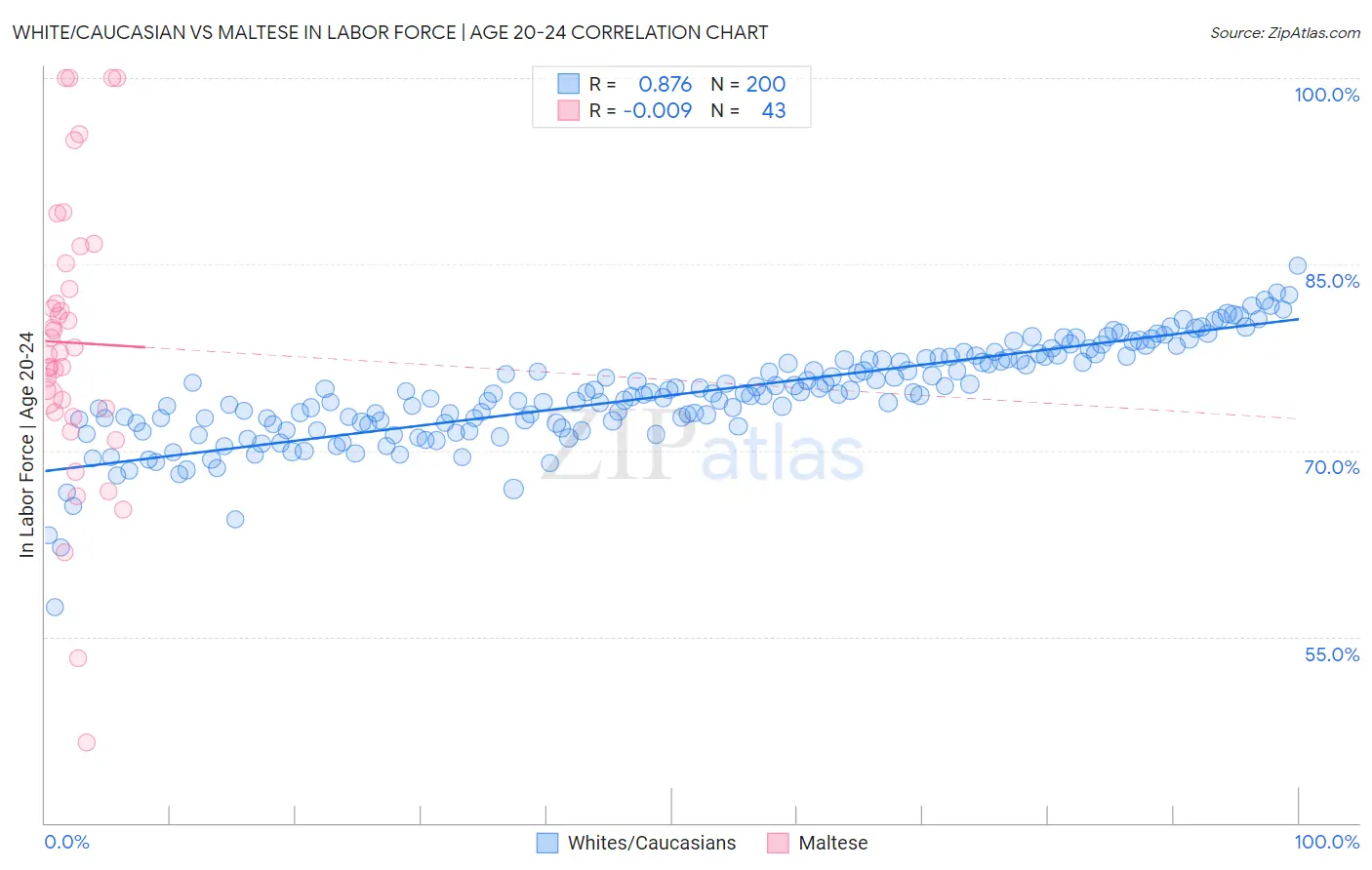 White/Caucasian vs Maltese In Labor Force | Age 20-24