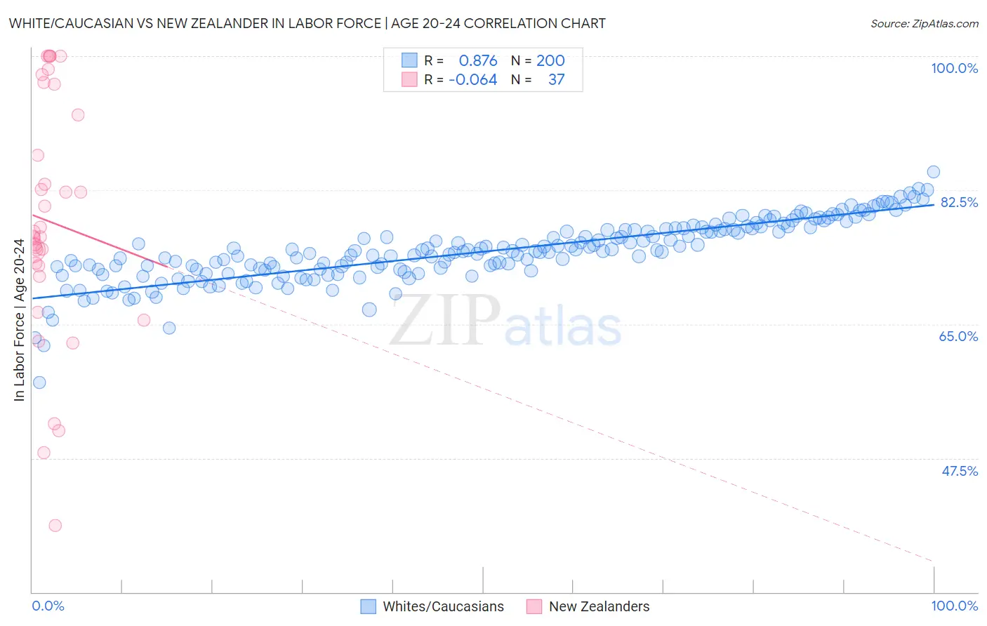 White/Caucasian vs New Zealander In Labor Force | Age 20-24